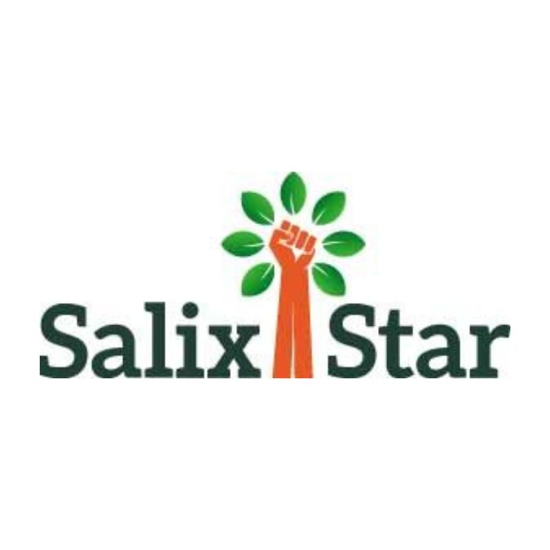 SALIX STAR ürün görseli